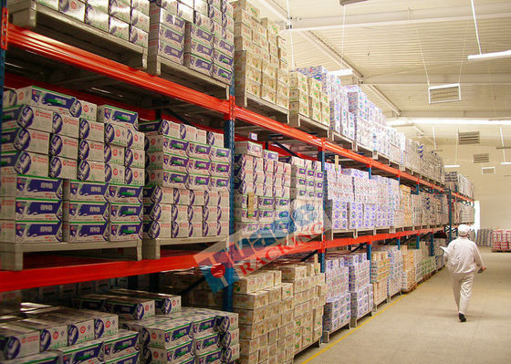 2000kg η βαρέων καθηκόντων παλέτα βασανίζει το τοποθετώντας σε ράφι επίστρωμα σκονών αποθηκών εμπορευμάτων